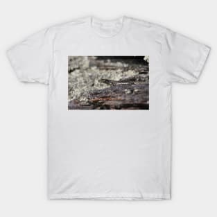 Grand Skink T-Shirt